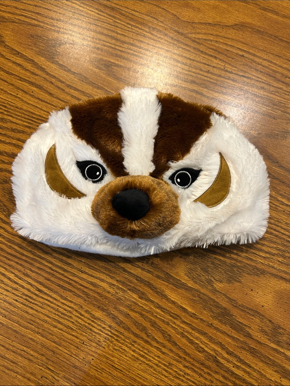 UW-Madison Bucky Badger Hat